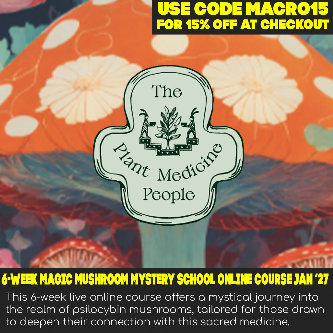 Magic Mushroom Mystery School Group 5, January 2027
