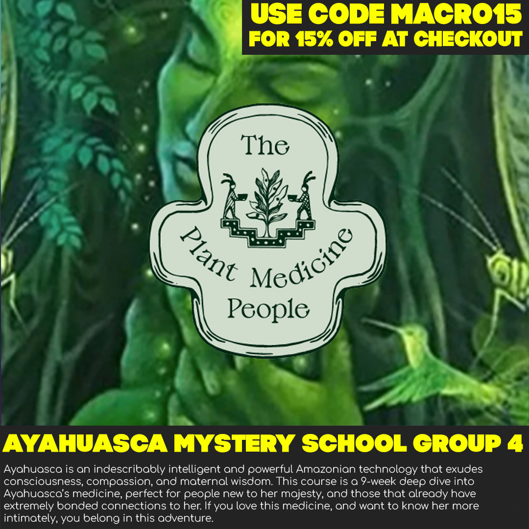 Ayahuasca Mystery School Group 4