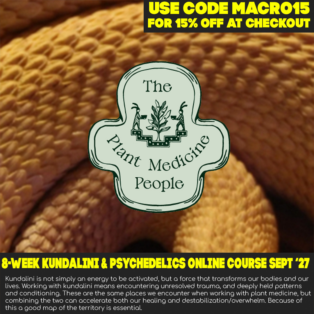 Kundalini and Psychedelics Course with Justin Levy