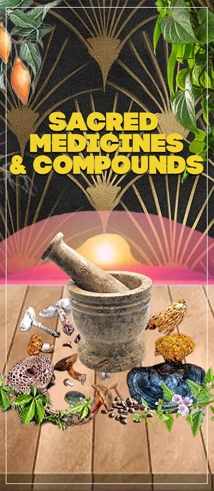 Sacred Medicines & Compounds