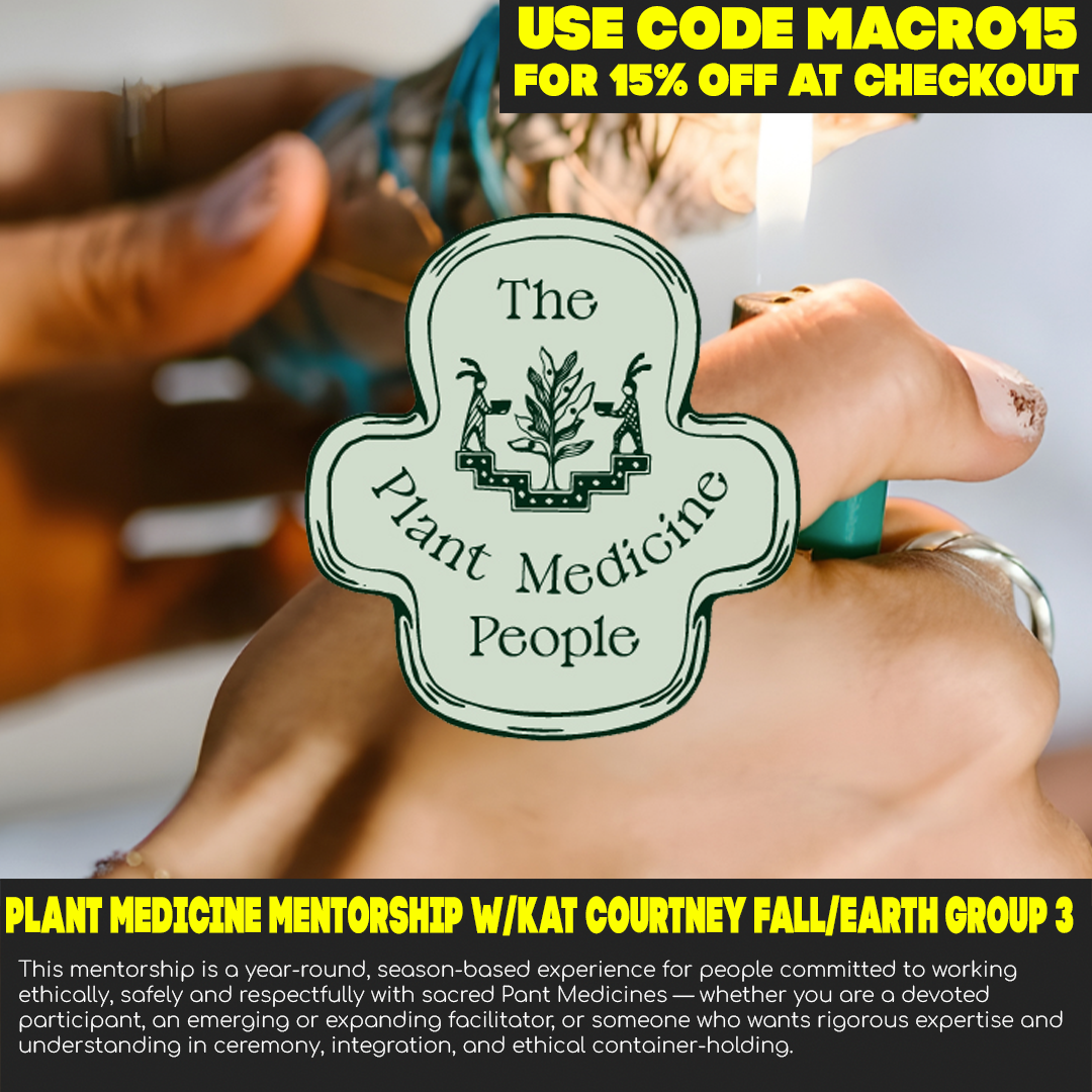 Plant Medicine Mentorship with Kat Courtney, Fall/Earth, Group 3